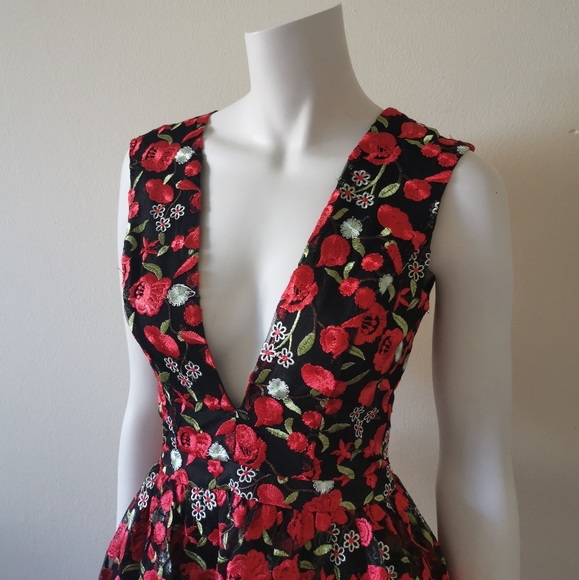 Embroidered Skater Dress - Picture 5 of 6